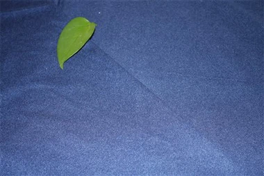 Velvet Kangas